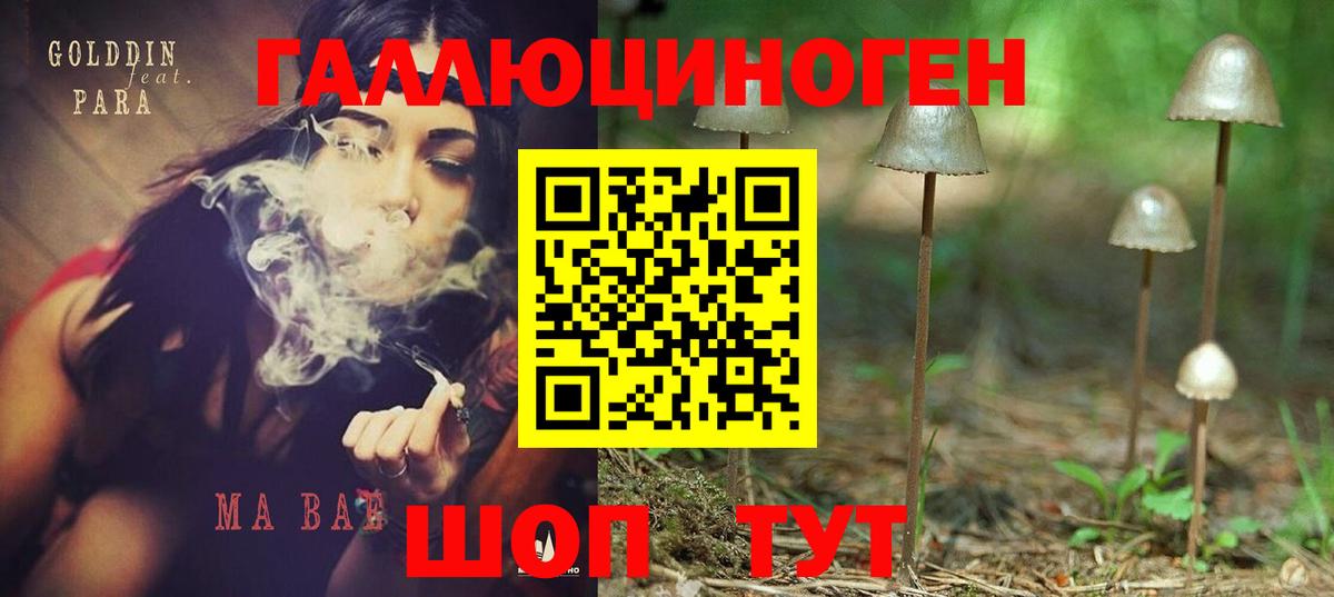 Галлюциногенные грибы Cubensis Кунгур